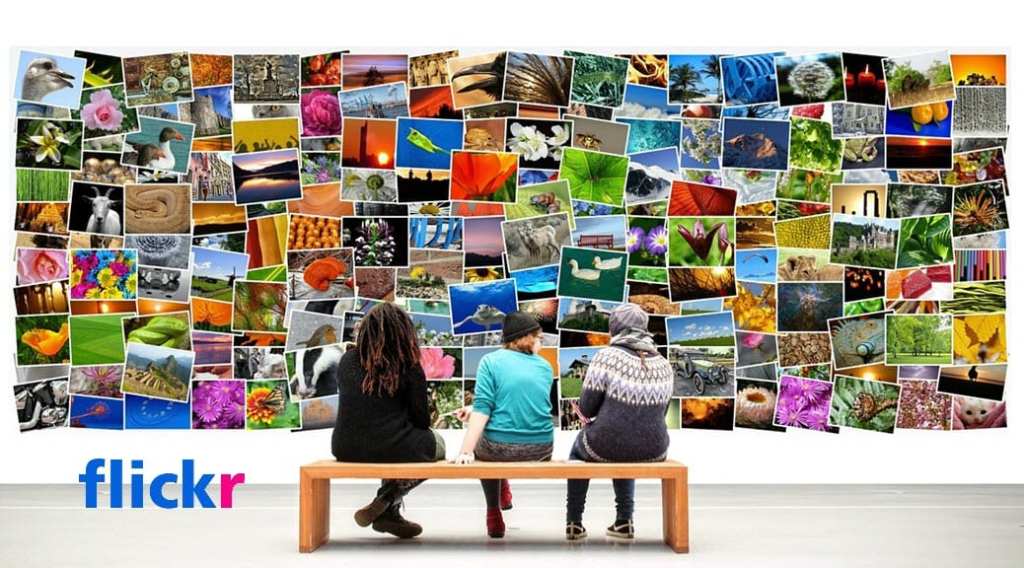 How I Downloaded and Organized My Photos Before Flickr Deletes&nbsp;Them