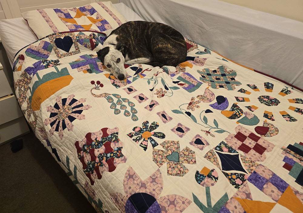 Learning to Quilt: Quilting the Quilt&nbsp;Top